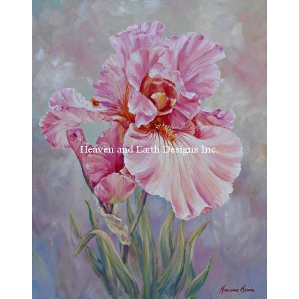 画像1: HAED(Heaven and Earth Designs)図案（チャート） - Marianne Broome - Pink Iris (1)