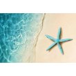 画像2: クロスステッチキット（標準）[HAEDミニ] Mini Starfish On The Sand Beach 18ct - Heaven and Earth Designs (2)