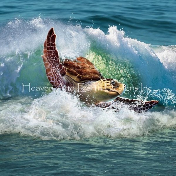 画像1: クロスステッチ キット（準備済み）[HAEDレギュラー]Sea Turtle JEL-25ct -HAED(Heaven and Earth Designs) (1)