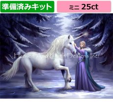 画像1: クロスステッチ キット（準備済み）[HAEDミニ] Mini Pure Magic 25ct -Heaven and Earth Designs (1)