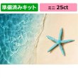 画像1: クロスステッチキット（準備済み）[HAEDミニ] Mini Starfish On The Sand Beach 25ct - Heaven and Earth Designs (1)