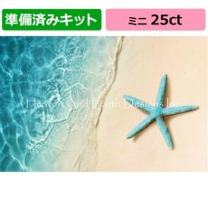 画像1: クロスステッチキット（準備済み）[HAEDミニ] Mini Starfish On The Sand Beach 25ct - Heaven and Earth Designs (1)