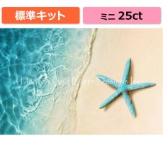 画像1: クロスステッチキット（標準）[HAEDミニ] Mini Starfish On The Sand Beach 25ct - Heaven and Earth Designs (1)