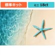 画像1: クロスステッチキット（標準）[HAEDミニ] Mini Starfish On The Sand Beach 18ct - Heaven and Earth Designs (1)