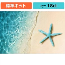 画像1: クロスステッチキット（標準）[HAEDミニ] Mini Starfish On The Sand Beach 18ct - Heaven and Earth Designs (1)