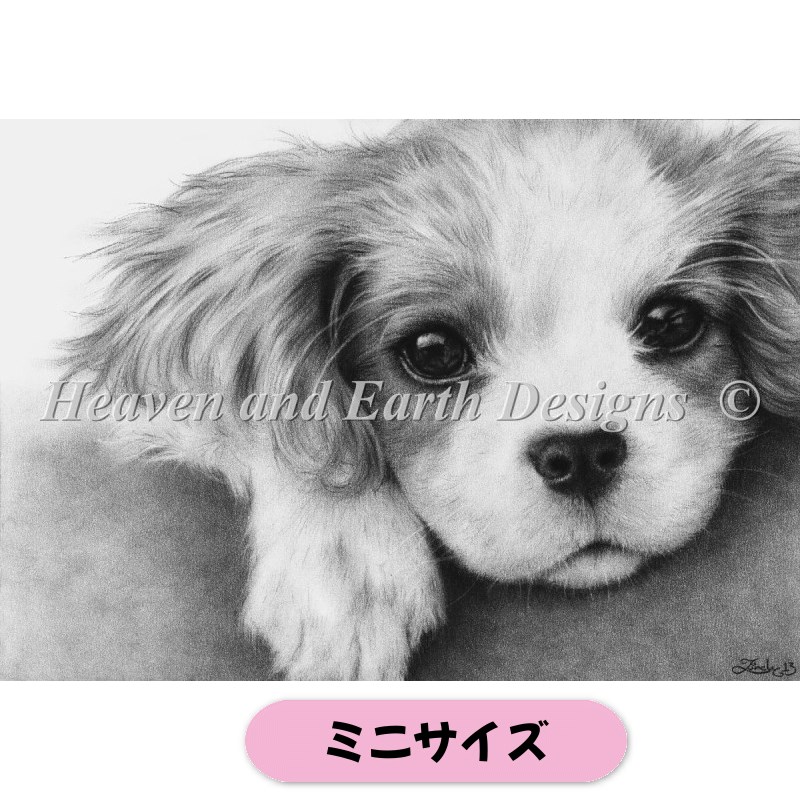 クロスステッチキット【HAEDミニ】 Mini Little Puppy - Heaven and Earth Designs(HAED)